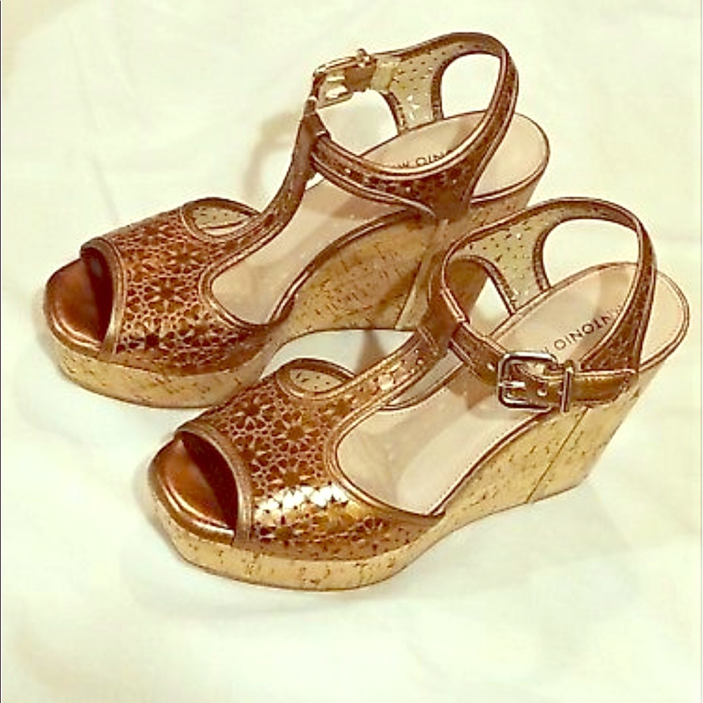 Antonio Melani Wedge Platform Sandal